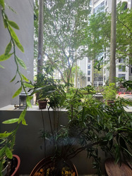 The Bayshore (D16), Condominium #532666001